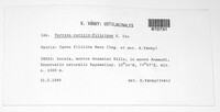 Media resource of Farysia caricis-filicinae
